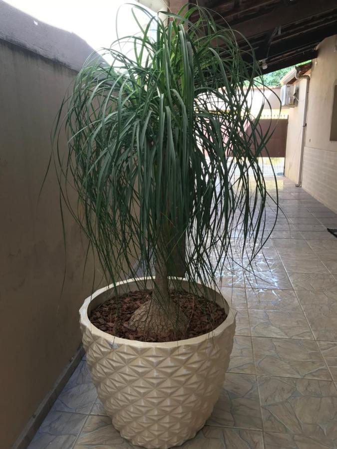 Da Bencao Apartment